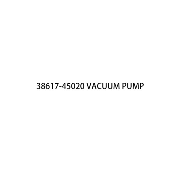 38617-45020 Vacuum pump